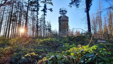 Schäfer SEO - SEO Niedersachsen