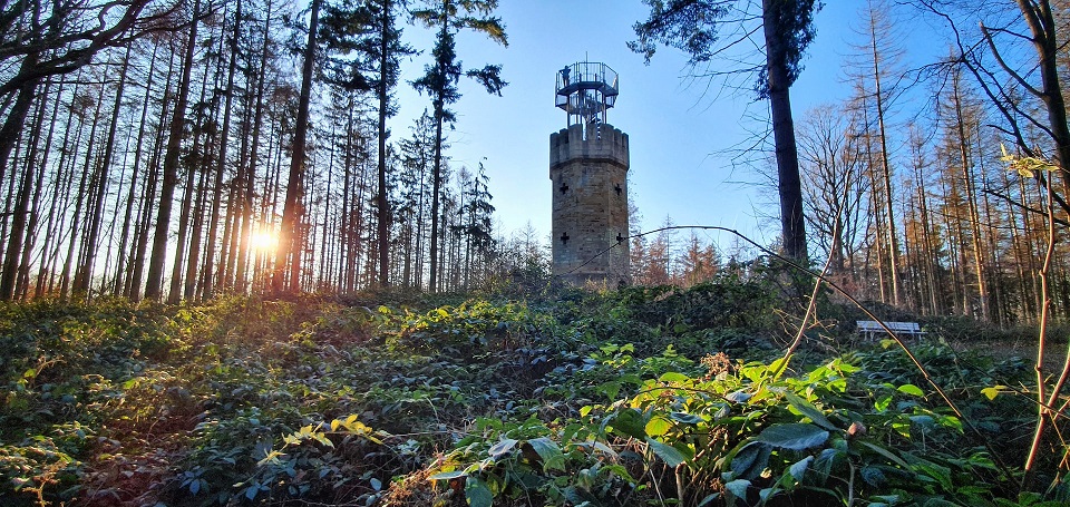 Schäfer SEO - SEO Niedersachsen