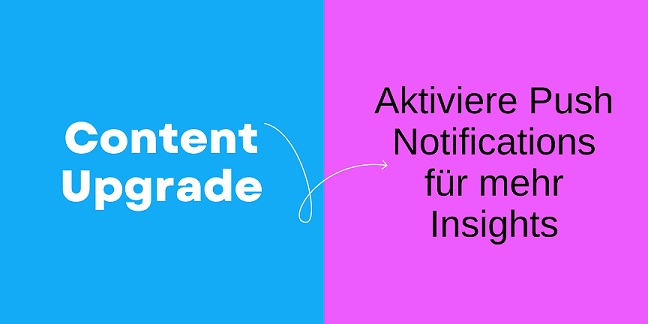 Schäfer SEO - Lead Banner - Content Upgrade