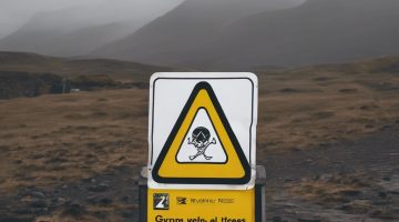 Schaefer SEO - Meine RanksPro Erfahrungen - Tool OK, aber Support eine Katastrophe
